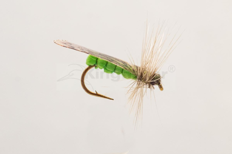 Nástraha Kingfisher Apple Caddis vel.10