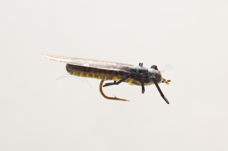 Nástraha Kingfisher Skwalla vel.08