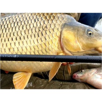 Prut Sportex Catapult CS-3 Carp 3,66m 2,75lb