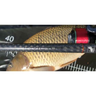 Prut Sportex Invictus Carp 3,66m 2,75lb
