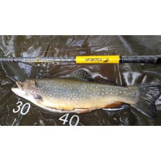 Prut Sportex Black Pearl GT-3 Ultra Light 2,10m 2-8g