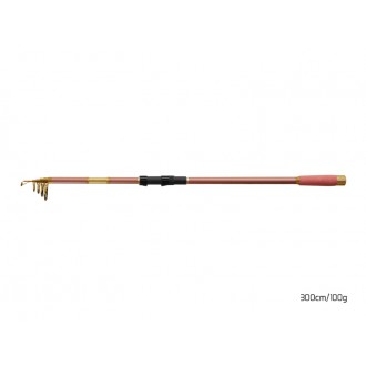 Prut Delphin Queen Tele 3,00m 100g
