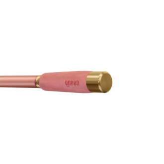 Prut Delphin Queen Tele 3,00m 100g