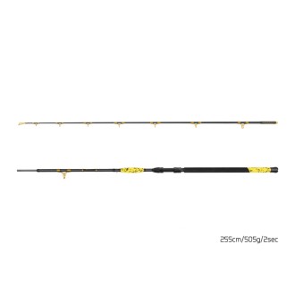Prut Delphin Hazard BxG 2,55m 505g