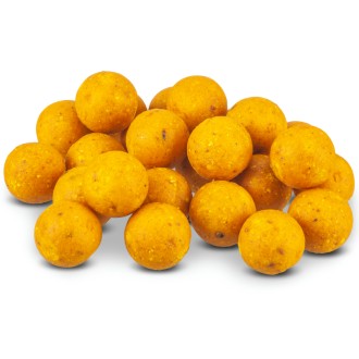 Boilie Anaconda Magist Scopex - Vanilka 3kg