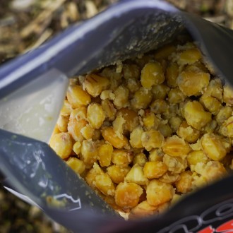 Kukuřice Munch Baits Sweet Maize 2L