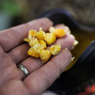 Kukuřice Munch Baits Sweet Maize 2L