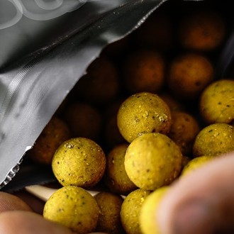 Boilies Munch Baits Citrus Nut Boilies 5kg