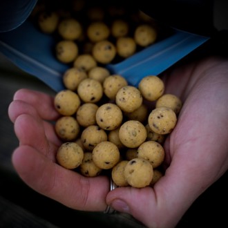 Boilies Munch Baits Cream Seed Boilies 1kg