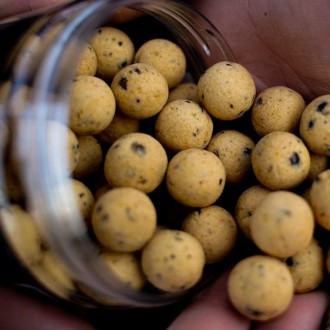 Vyvážené boilies Munch Baits Wafters Cream Seed 200ml