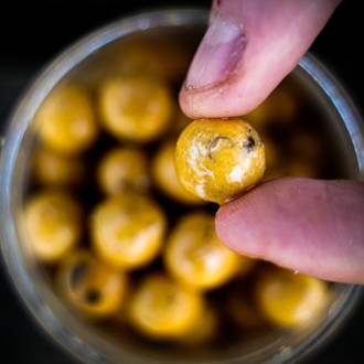 Nástraha Munch Baits Boosted Hookbaits Cream Seed 200ml