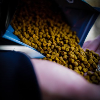 Pelety Munch Baits Citrus Nut Pellet 1kg