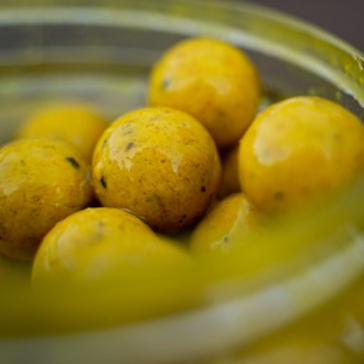 Nástraha Munch Baits Boosted Hookbaits Citrus Nut 200ml