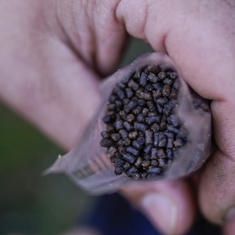 Pelety Munch Baits Salmon Micro Pellets 2 L