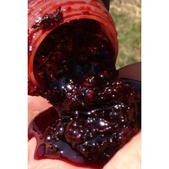 Posilovač Starbaits Add´IT Bloodworm Liquid 500ml