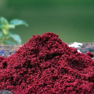 Haith´s Robin Red 1kg