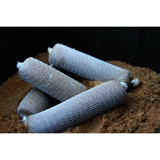PVA punčocha Starbaits PVA System Stick17mm 6m