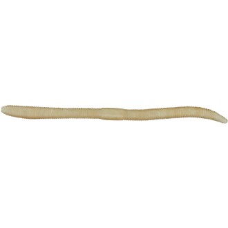 Červ ILLEX Flick Shake 12cm