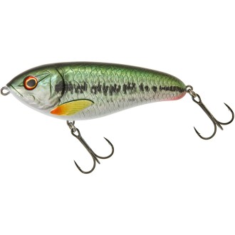 Dexter Jerk 12cm S HL Rainbow Trout