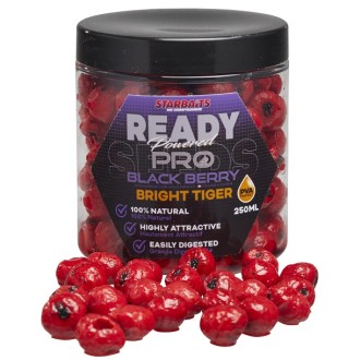 Tygří ořech Bright Ready Seeds Pro Blackberry 250ml