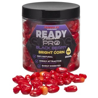 Kukuřice Bright Ready Seeds Pro Blackberry 250ml