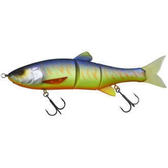 Dowz Swimmer 22cm SF RT Perch