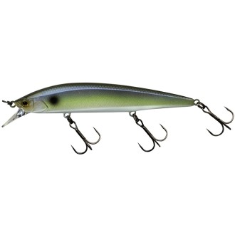 Rerange 11cm SP Bone