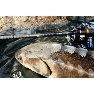 Prut Sportex Xclusive Feeder RS-2 3,65m 65-125g