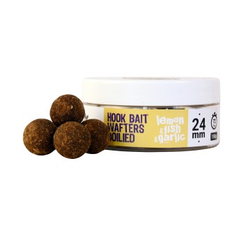 THE BIG ONE HOOK BAIT WAFTERS BOILIE