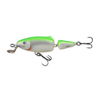 Salmo Frisky