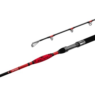 Prut Delphin Danger Catfish 2,55m 350g