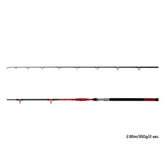 Prut Delphin Danger Catfish 3,10m 350g