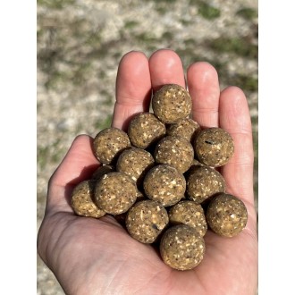 Boilies Carp Fans Vanilla Nuts 20 mm 1 kg