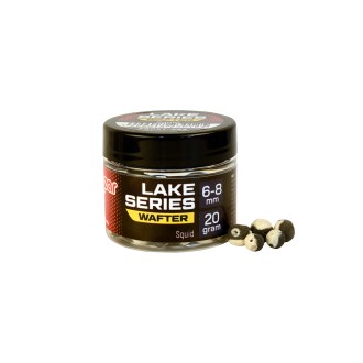 BENZAR LAKE SERIES POP-UP UND WAFTER