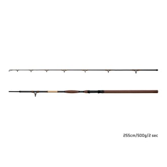 Prut Delphin SymbolCAT Bronze 3,10m 500g