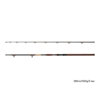 Prut Delphin SymbolCAT Bronze 3,10m 500g