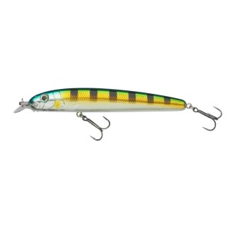 Beast Hi-Lo SK 10cm Striped Ayu