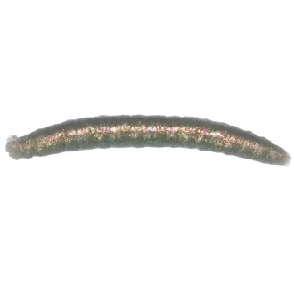 Revol Baits nástraha Crane Fly larva 45mm příchuť sýr-česnek, barva šedý chameleon 12ks