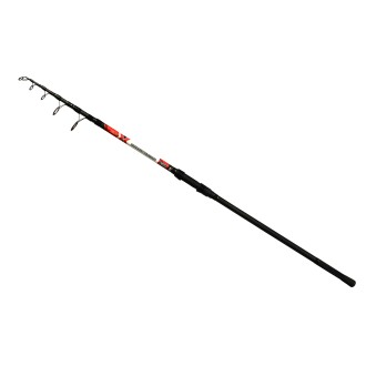 CARP EXPERT DISTANCE TELECARP BOT