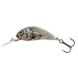 Salmo Hornet 2,5 cm S