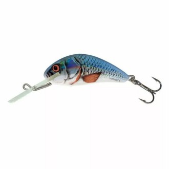 Salmo Hornet 2,5 cm S