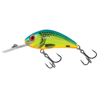 SALMO RATTLIN HORNET