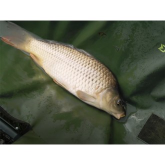 Vanička Delphin Eazy Safe