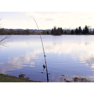 Prut Delphin Danger Catfish 2,85m 350g