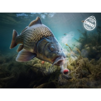 Neutrálně vyvážená nástraha Delphin D Snax Shell Krab-Krill 30g rozpustné