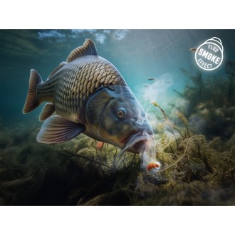 Neutrálně vyvážená nástraha Delphin D Snax Shell Mušle-Koření 30g rozpustné