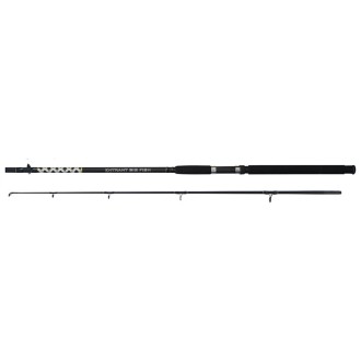 Prut Bigfish Entrant  EBF - 240 cm/200-500 g/2 díl
