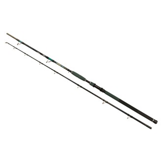 Prut Wizard Cat Pro Power 3,0m 800-1000g