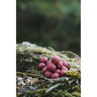 Boilies Dk Fishing Power Attract 24mm 5kg
