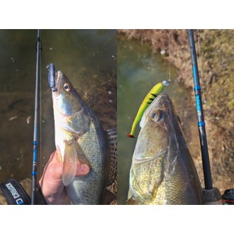 Prut Delphin Zandit 2,15m 15g